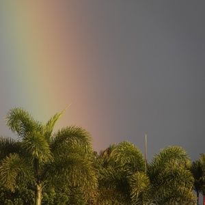 Meet your Posher, Rita